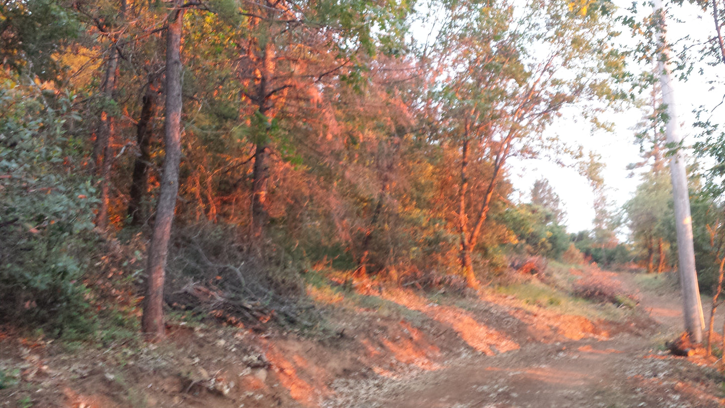 Orange Sunbeams Psychedelic Hoodie v.1 | Wearable Art