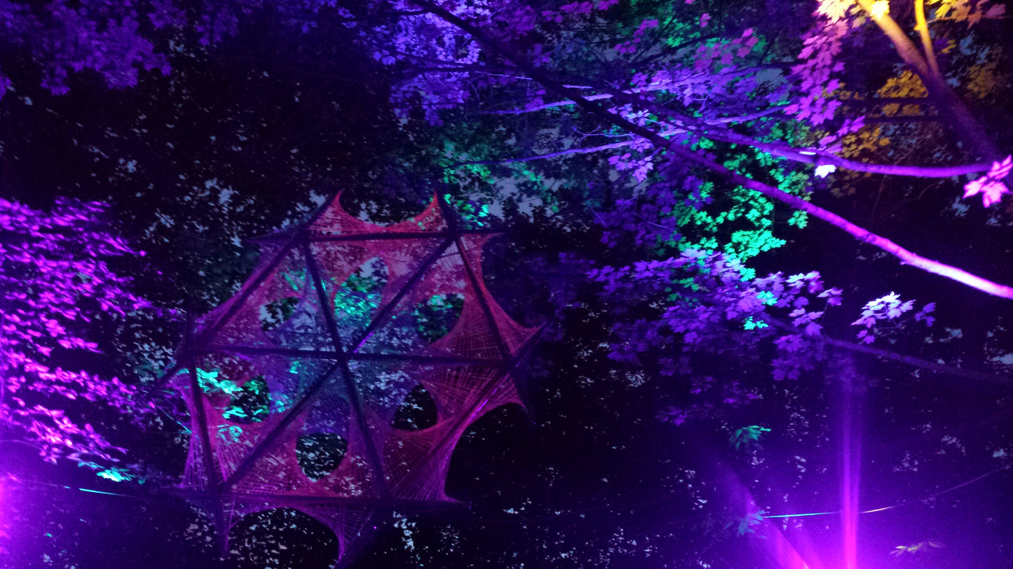 Festival Tree Lights Psychedelic Hoodie v.1 | Wearable Art