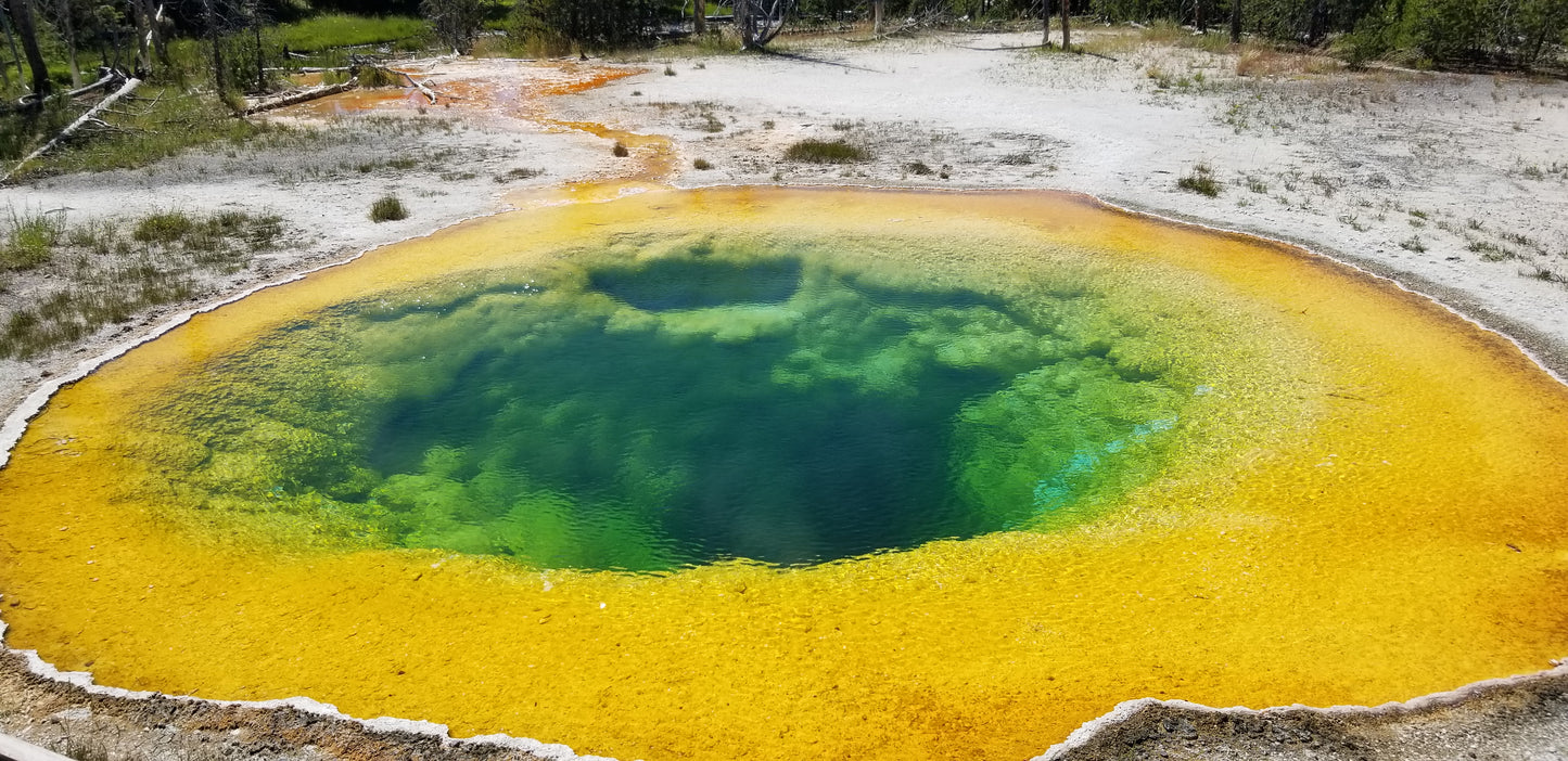 Yellowstone Morning Glory Pool Psychedelic Hoodie v.1 | Wearable Art