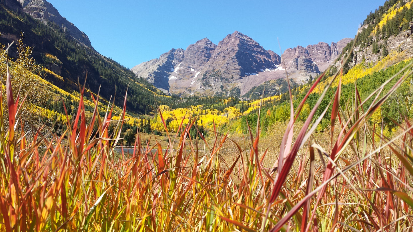 Autumn at Maroon Bells Spiral v.2 — Cotton Hoodie
