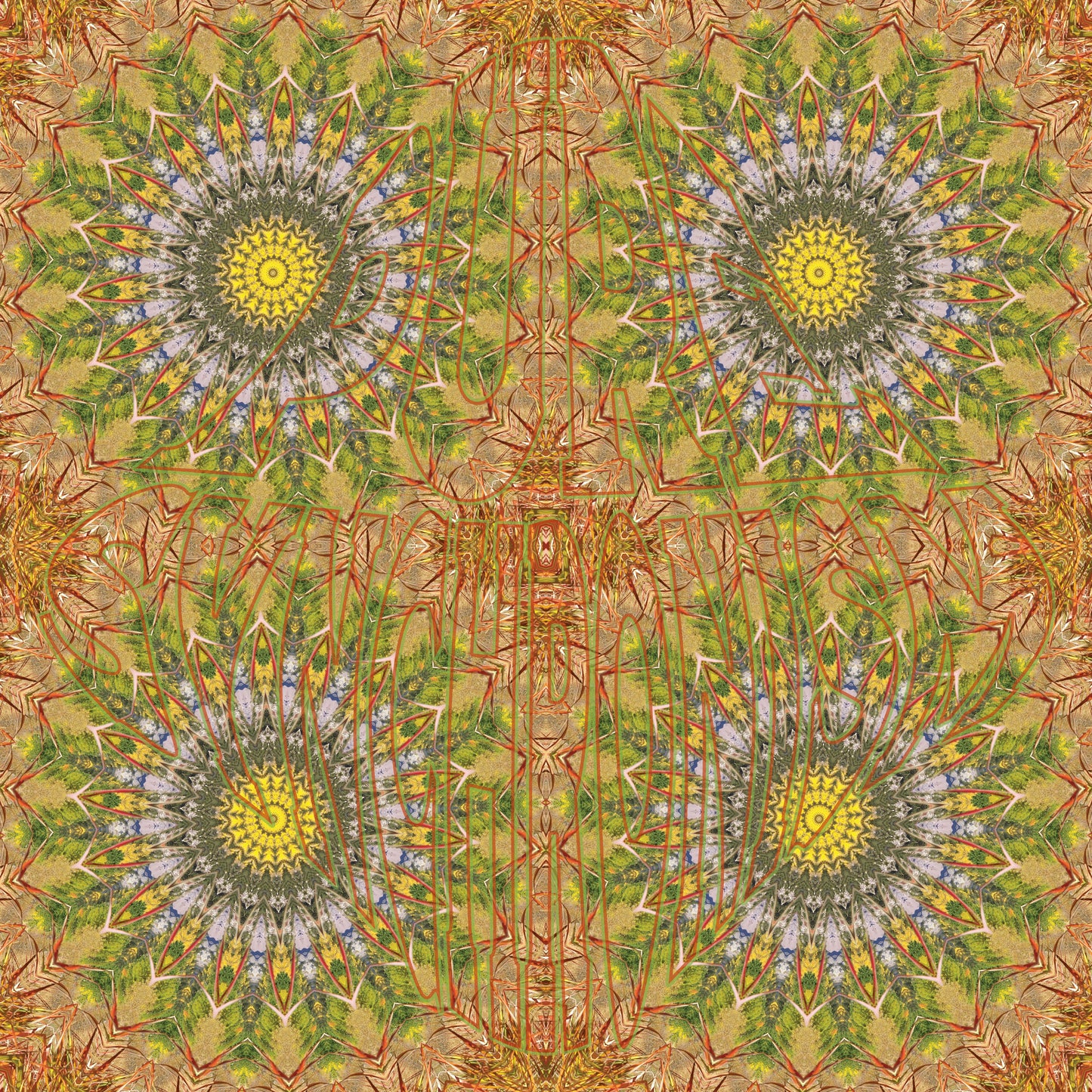 Autumn at Maroon Bells Spiral v.1 — Cotton Hoodie