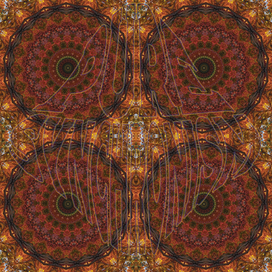 Autumn Big Leaf Maple Spiral v.1 Cotton Hoodie