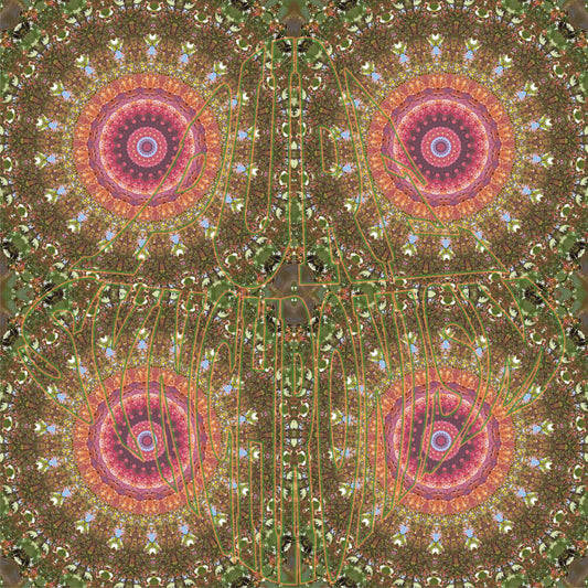 Autumn Changing Colors Spiral v.1 — Cotton Hoodie