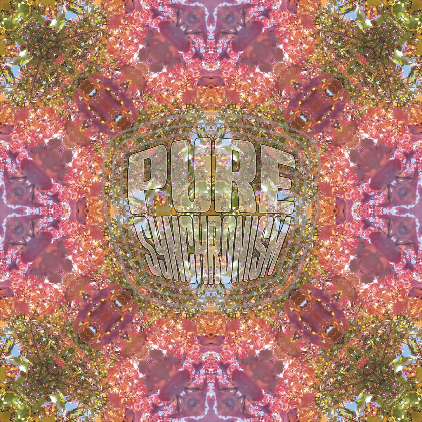 Autumn Changing Colors v.1 — Cotton Hoodie