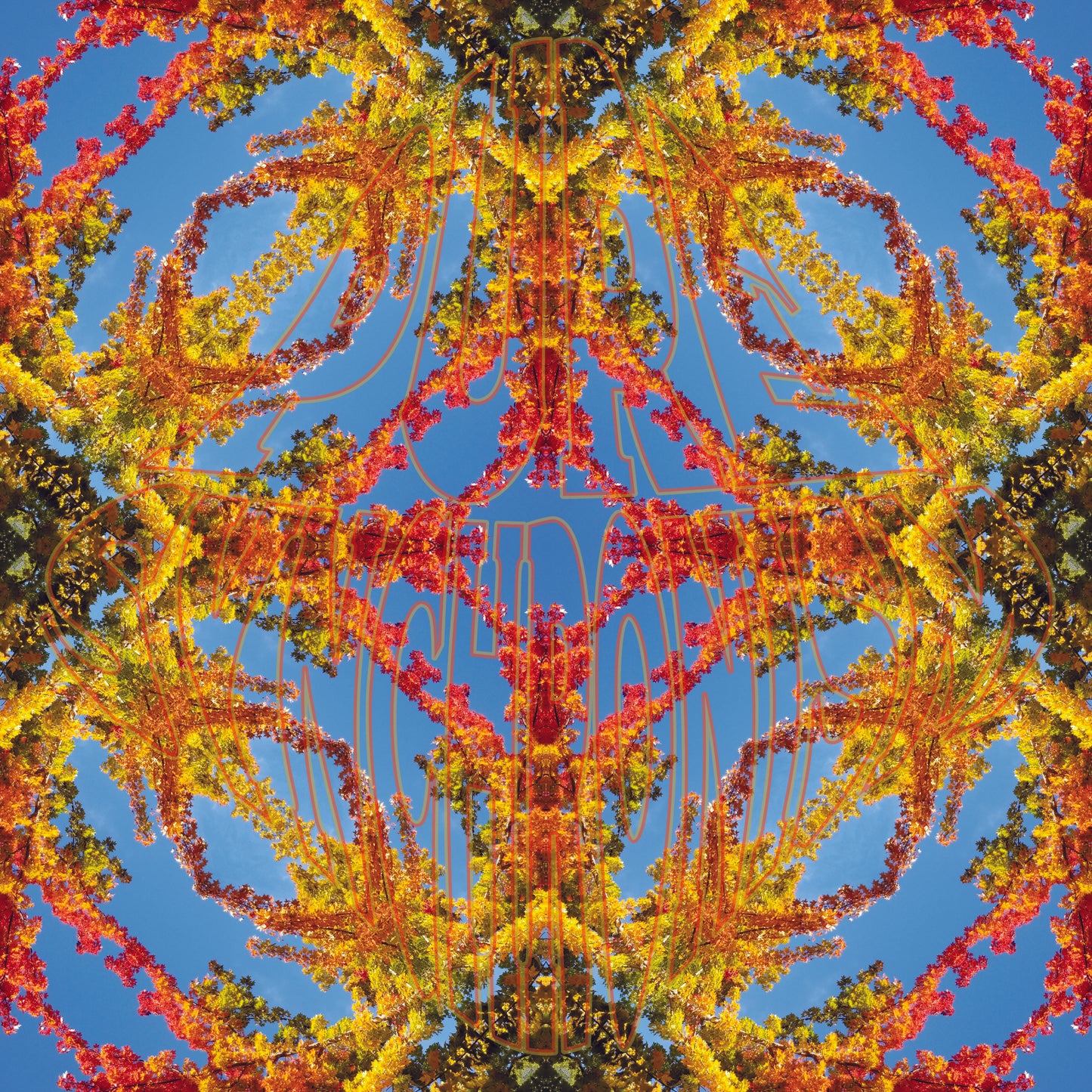 Autumn Japanese Maple v.1 — Cotton Hoodie