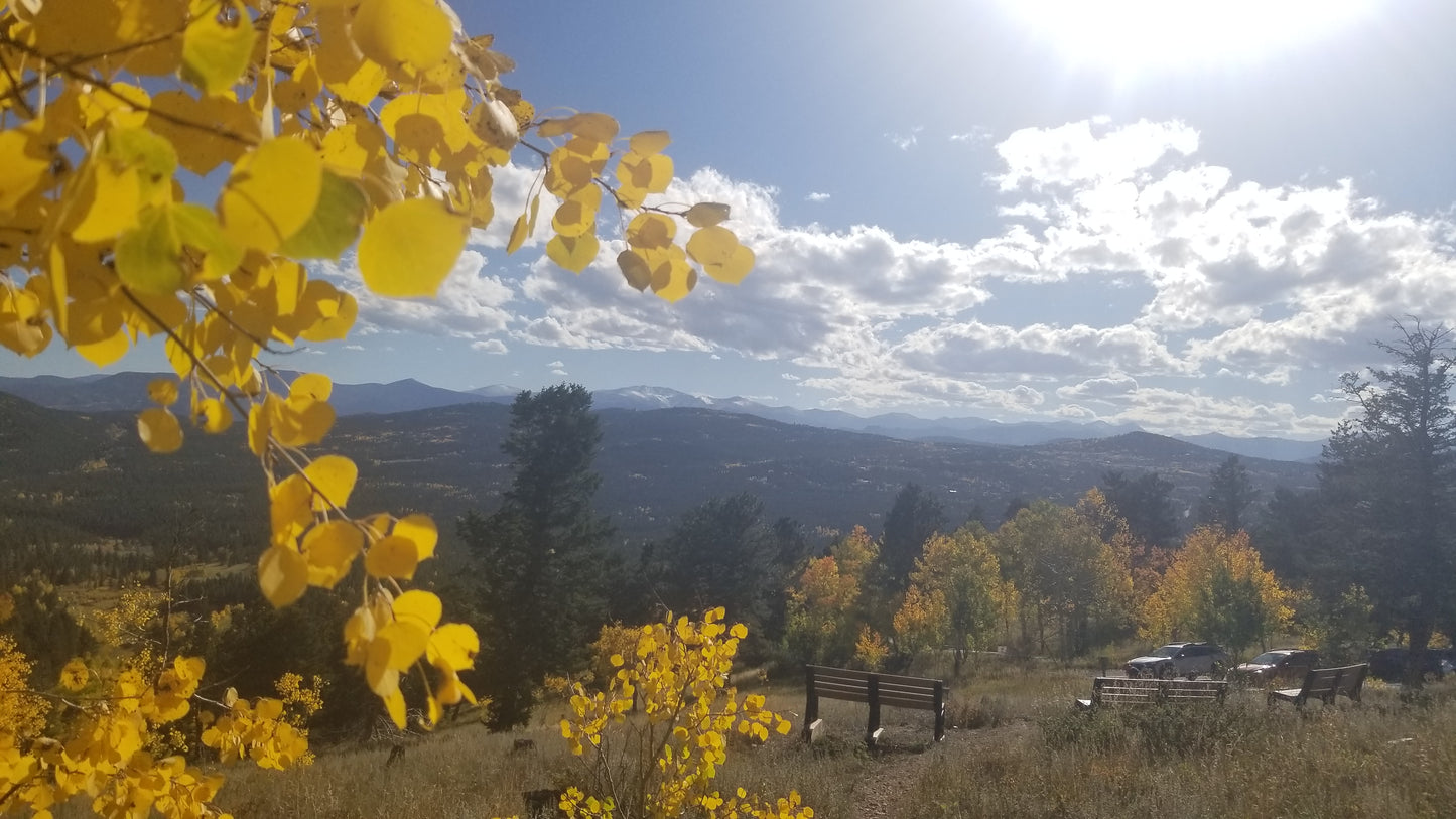 Yellow Leaves & Clouds v.1 — Cotton Hoodie