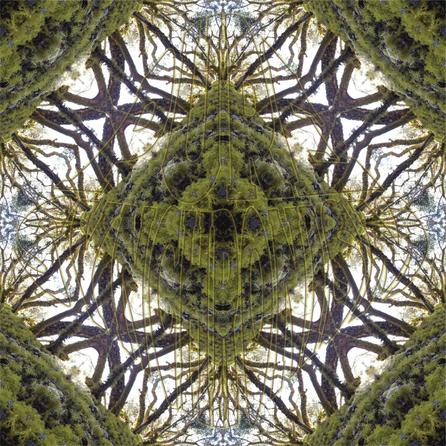 Big Mossy Tree v.1 — Cotton Hoodie