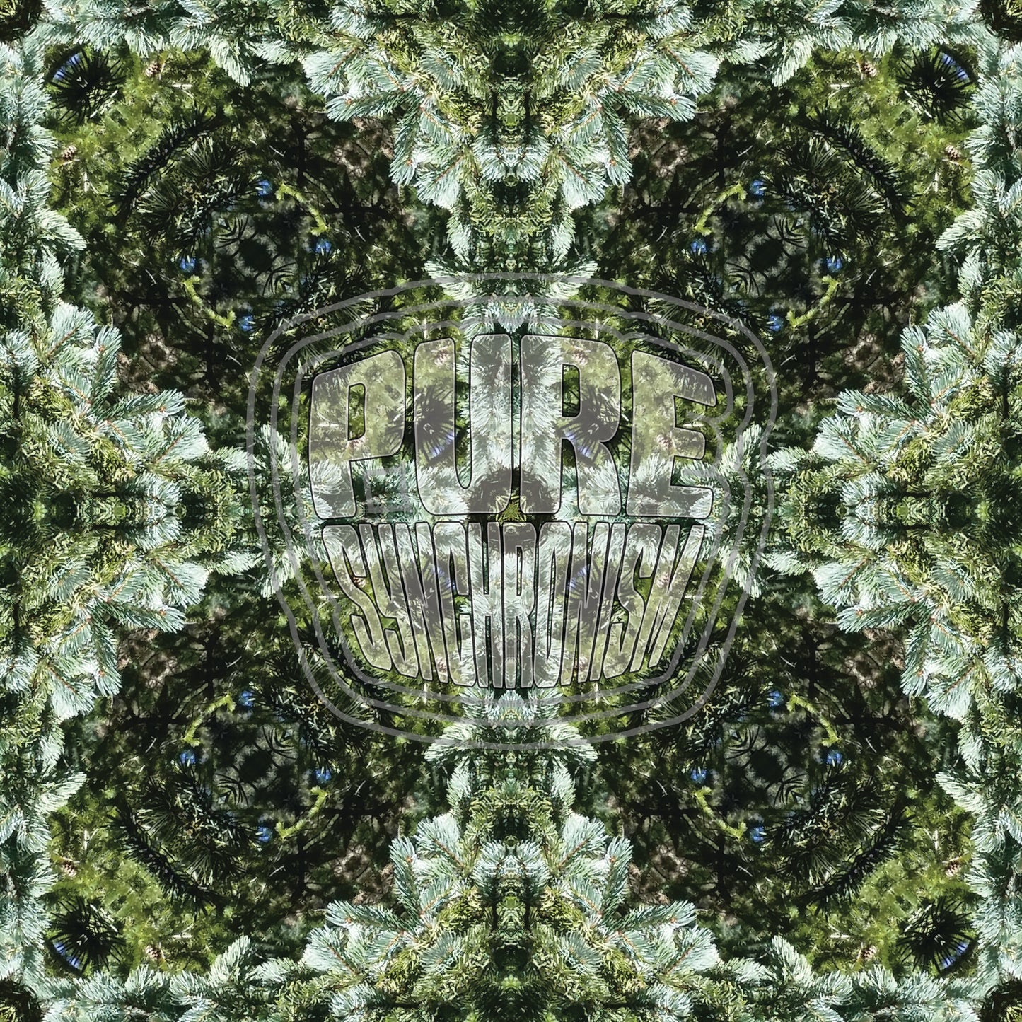 Evergreens v.1 — Cotton Hoodie