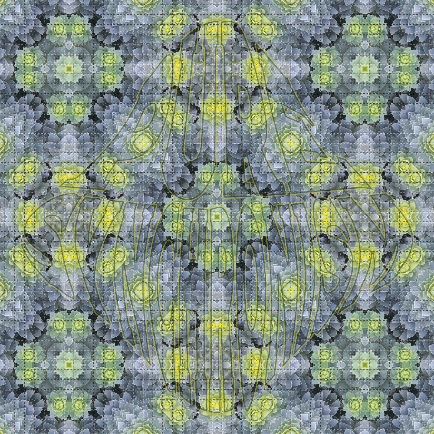 Donkey Tail Spurge Psychedelic Hoodie v.1 | Wearable Art