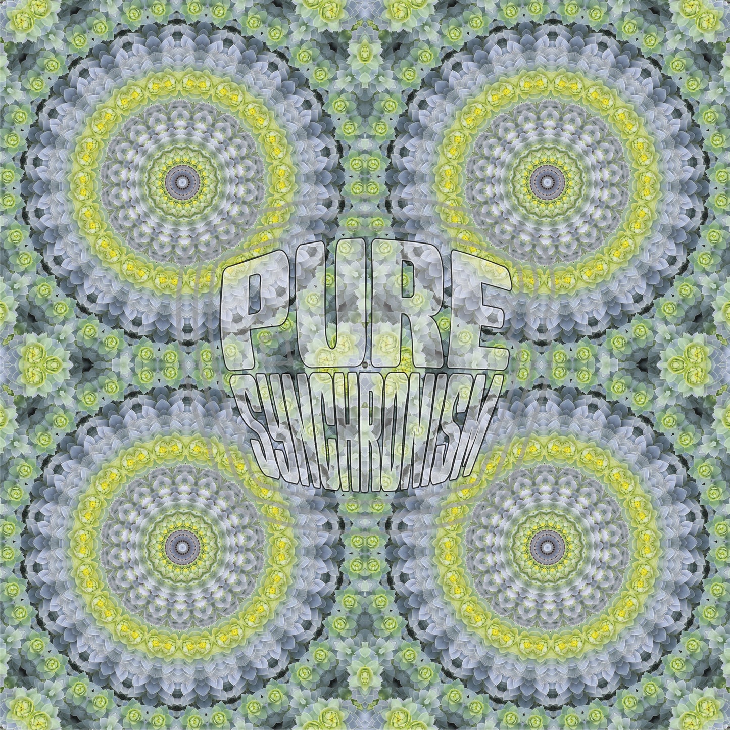 Fractal Plant Spiral v.1 — Cotton Hoodie