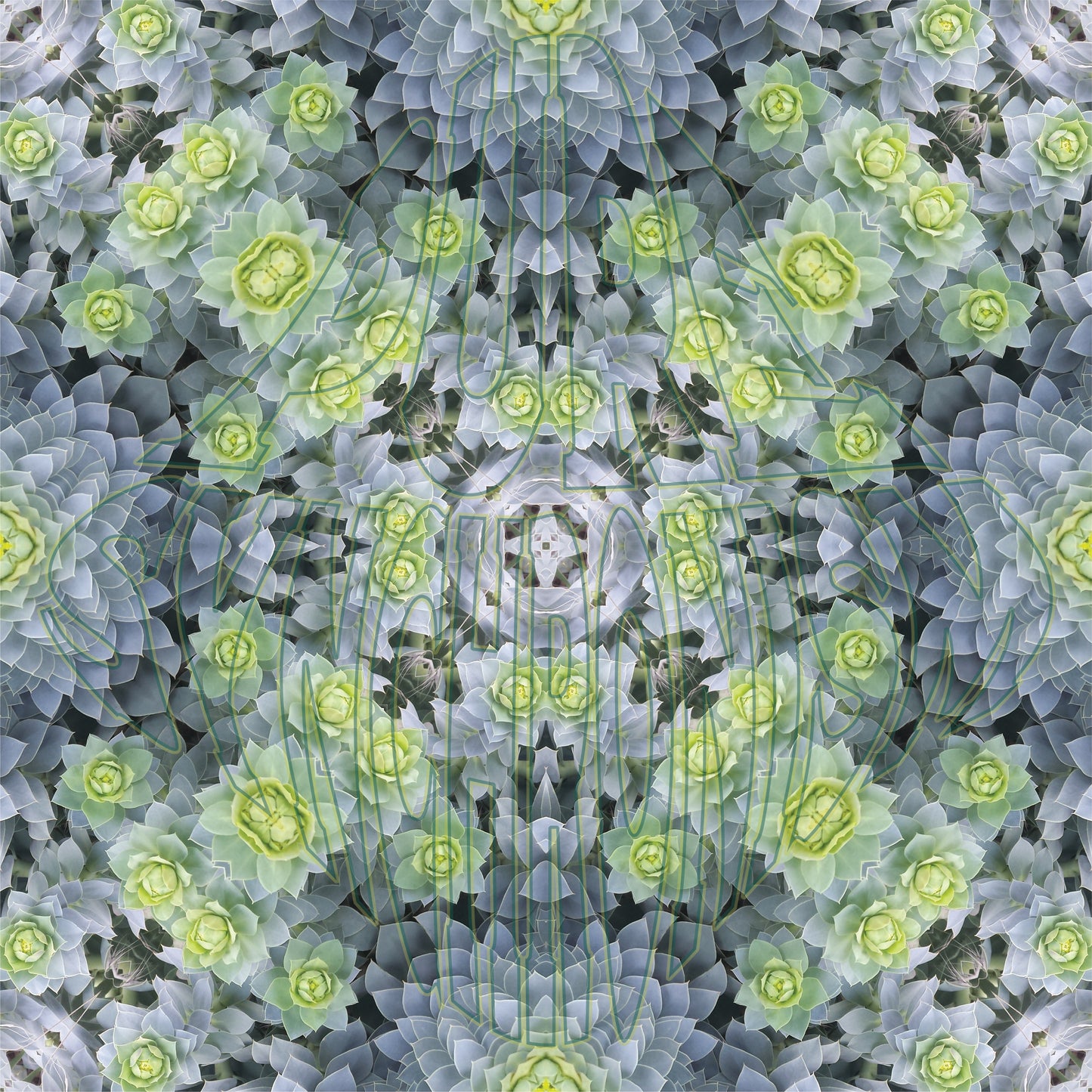 Fractal Plant v.1 — Cotton Hoodie
