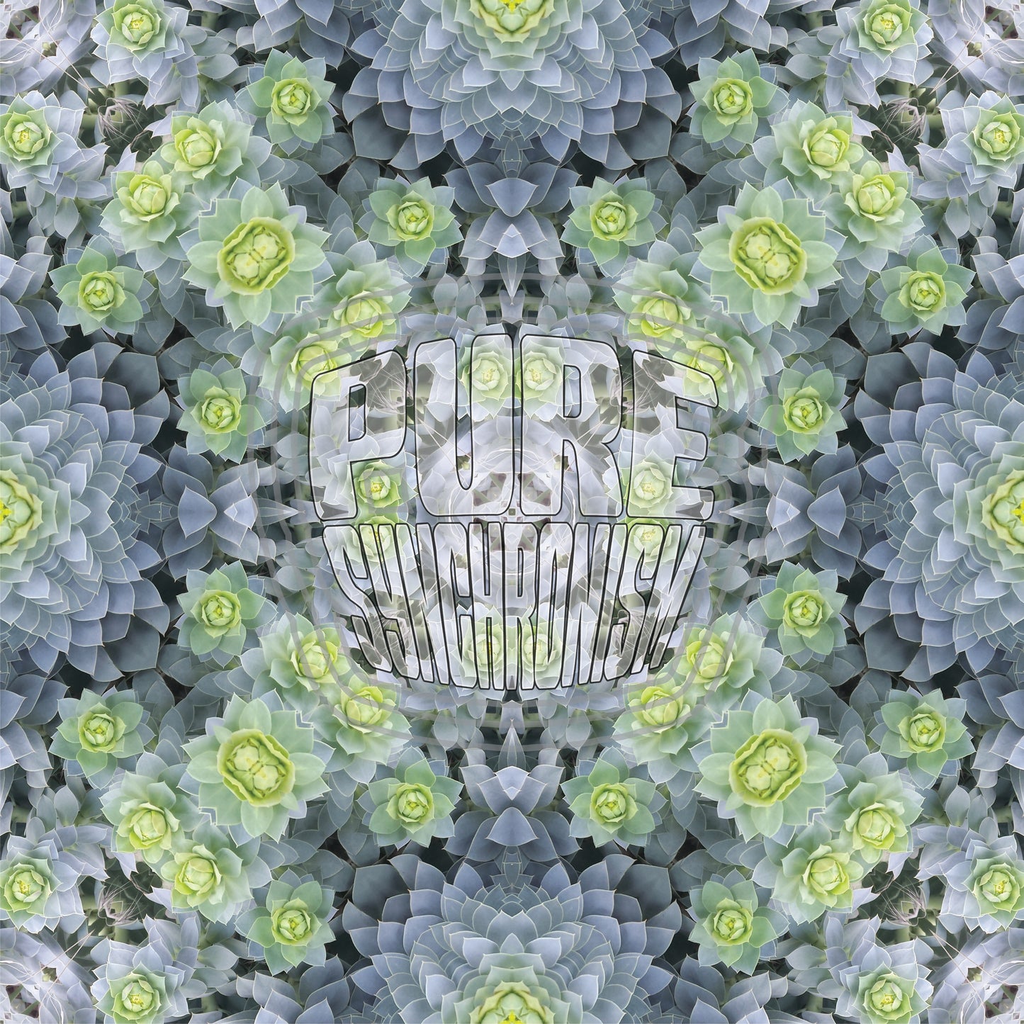 Fractal Plant v.1 — Cotton Hoodie