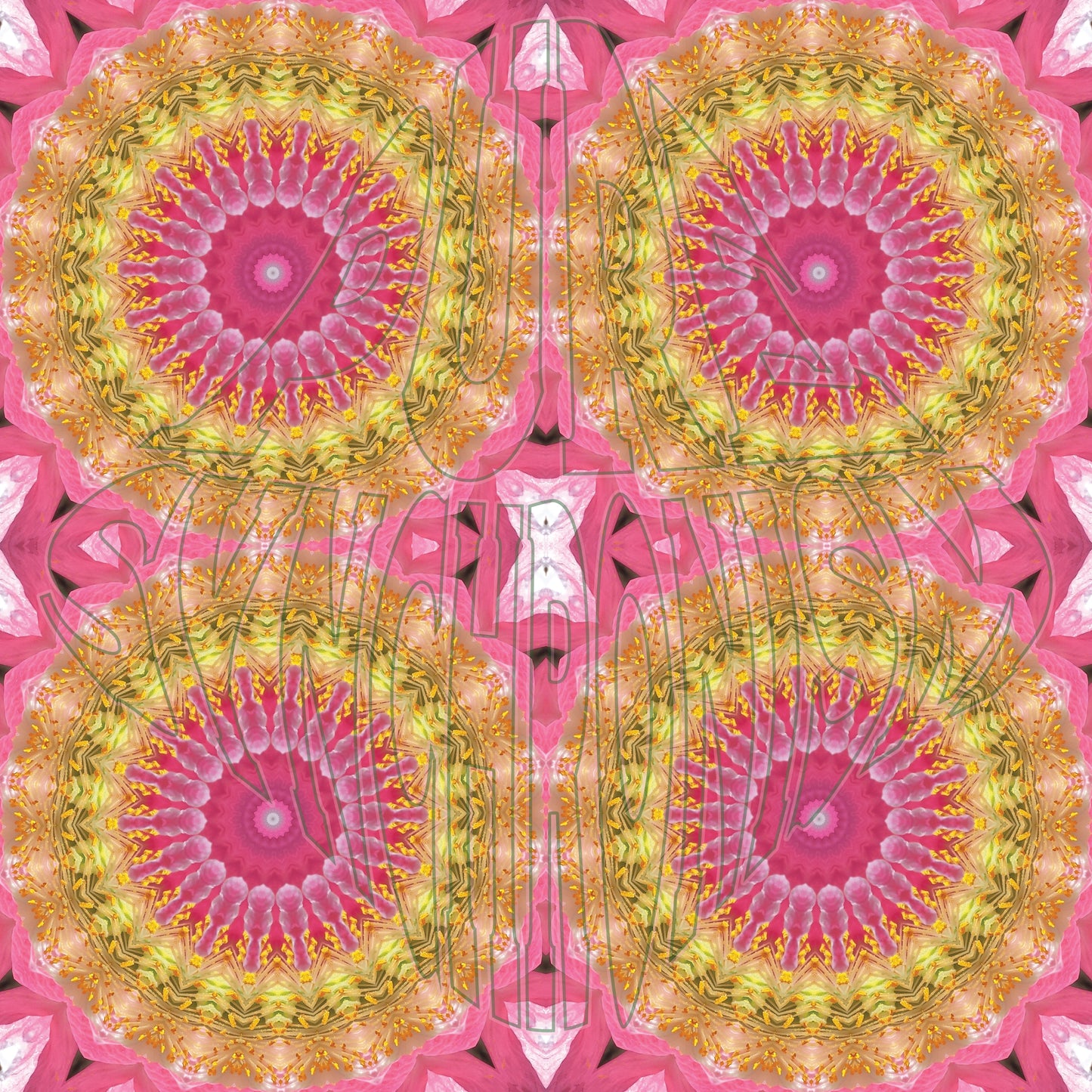 Pink Poppy — Spiral v.2 Cotton Hoodie