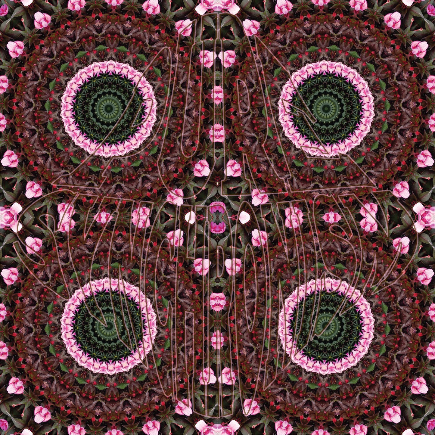 Pink Impatiens Spiral v.1 — Cotton Hoodie