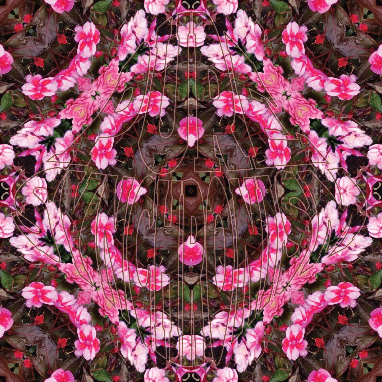Pink Impatiens v.1 — Cotton Hoodie