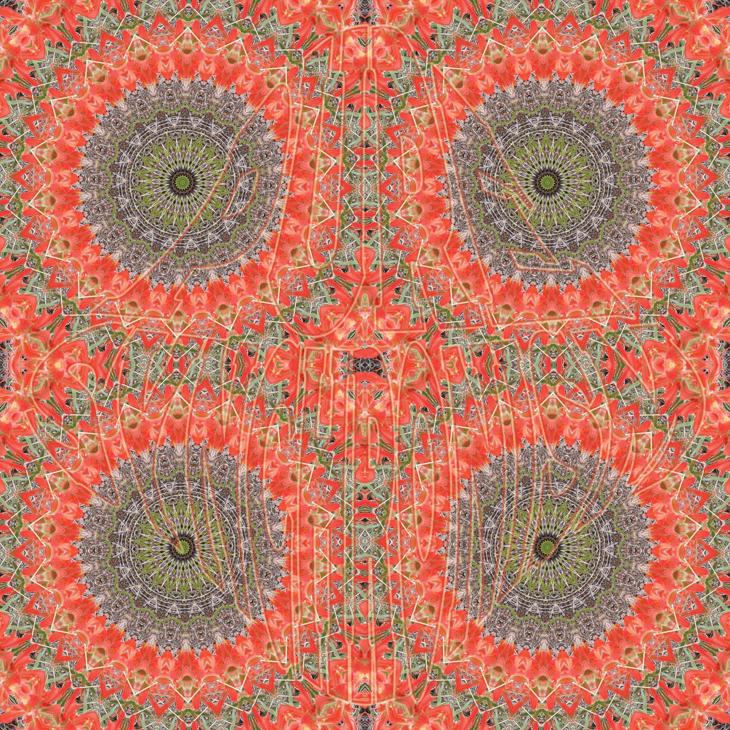 Indian Paintbrush Spiral v.1 — Cotton Hoodie