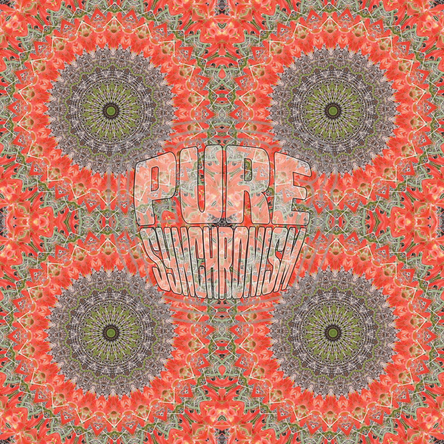 Indian Paintbrush Spiral v.1 — Cotton Hoodie