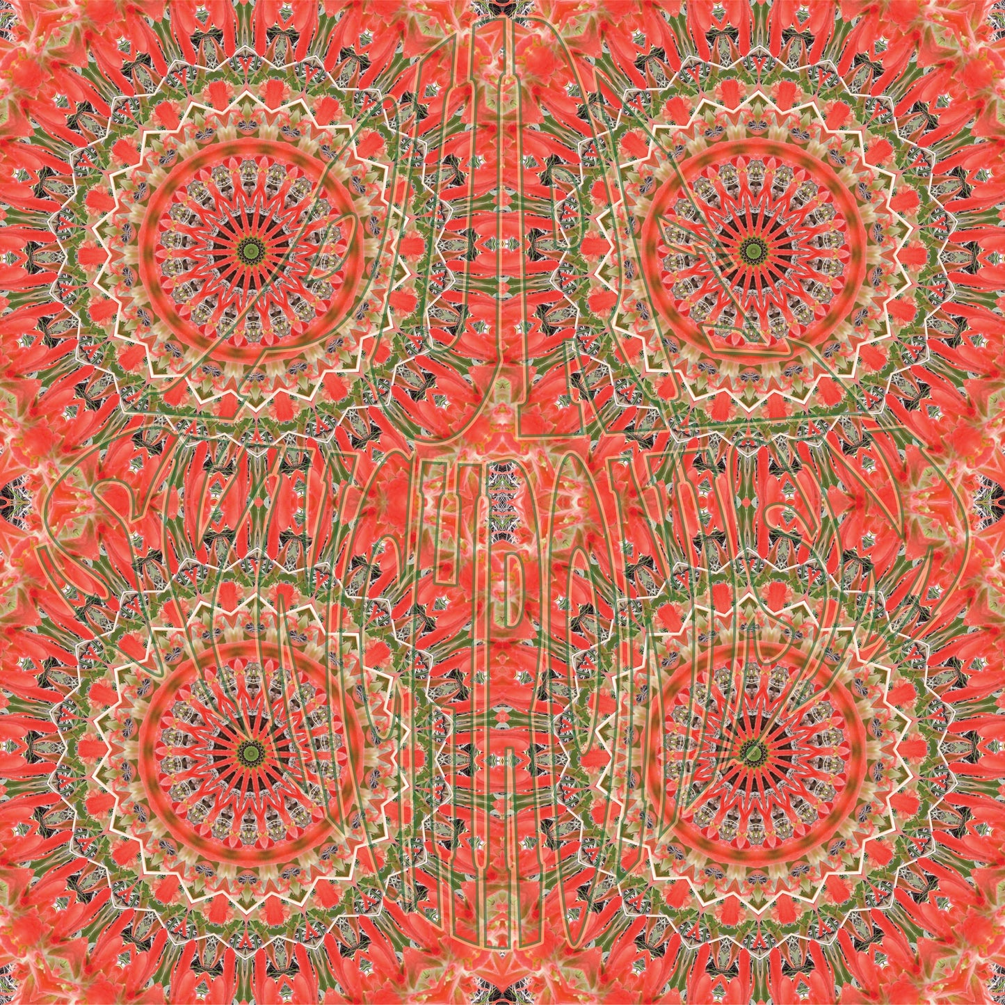 Indian Paintbrush Spiral v.2 — Cotton Hoodie