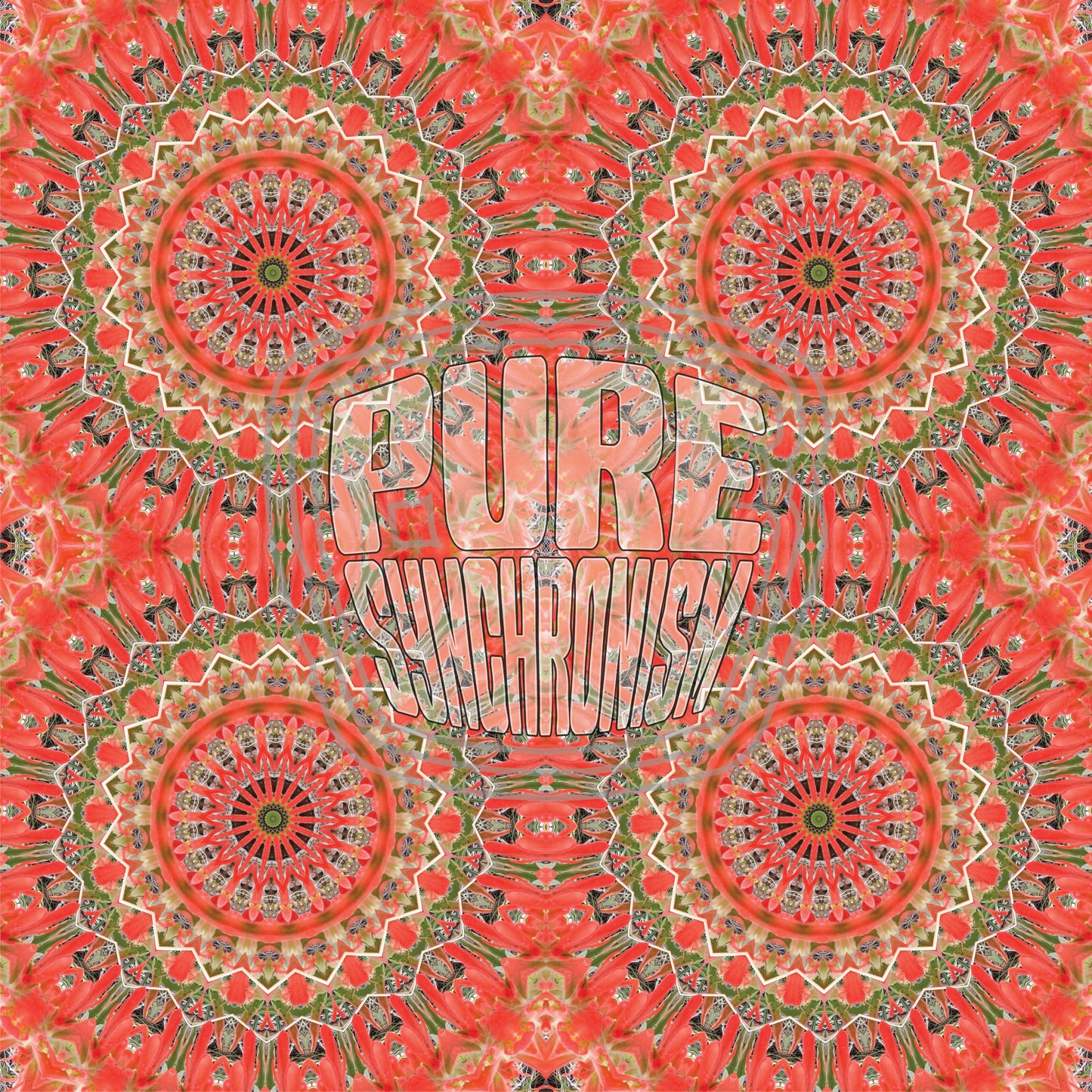 Indian Paintbrush Spiral v.2 — Cotton Hoodie