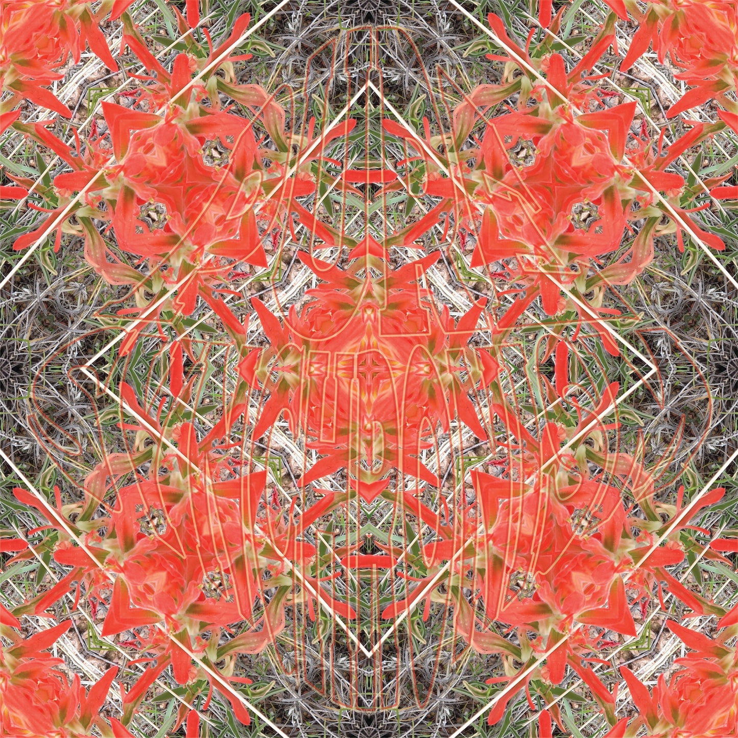 Indian Paintbrush v.1 — Cotton Hoodie