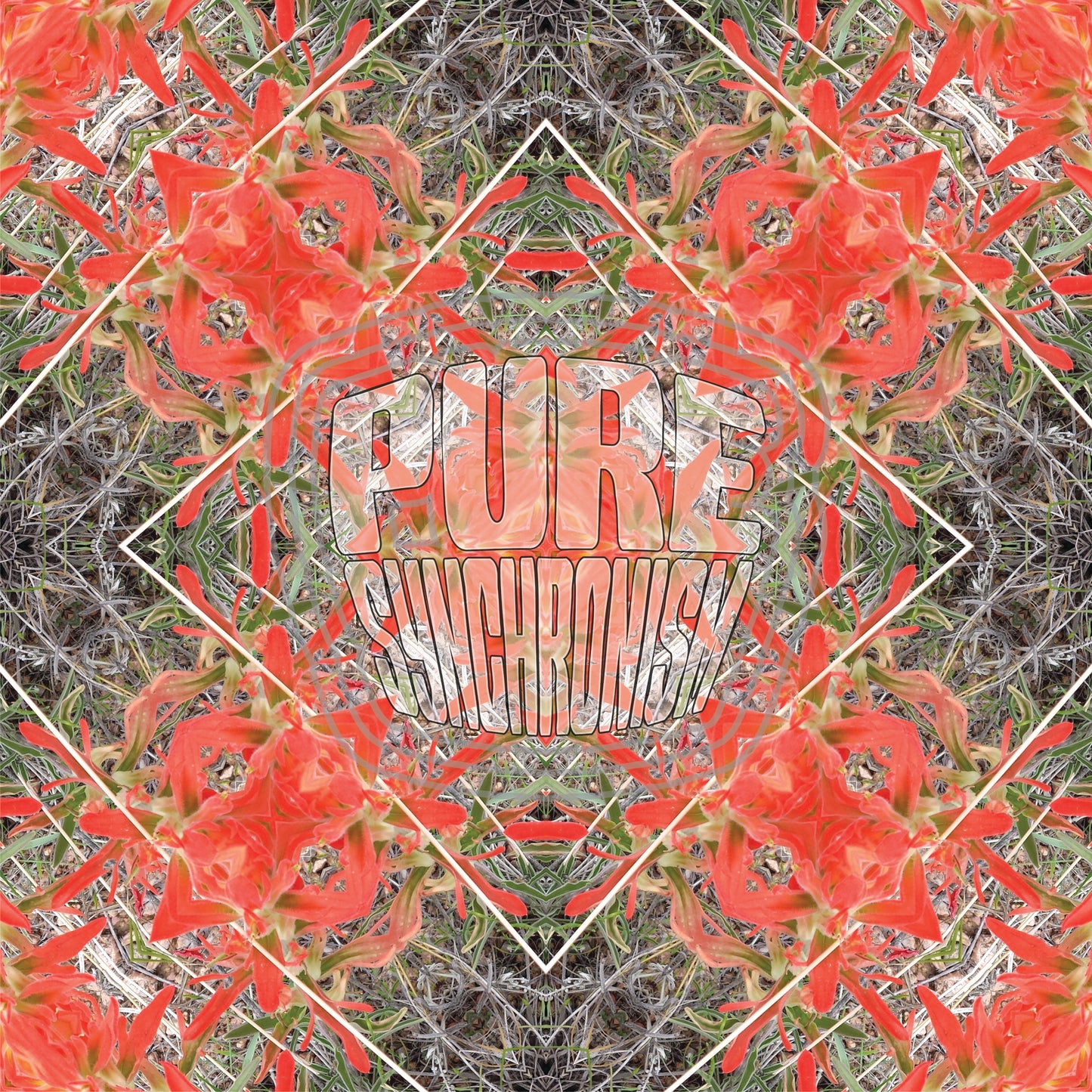 Indian Paintbrush v.1 — Cotton Hoodie