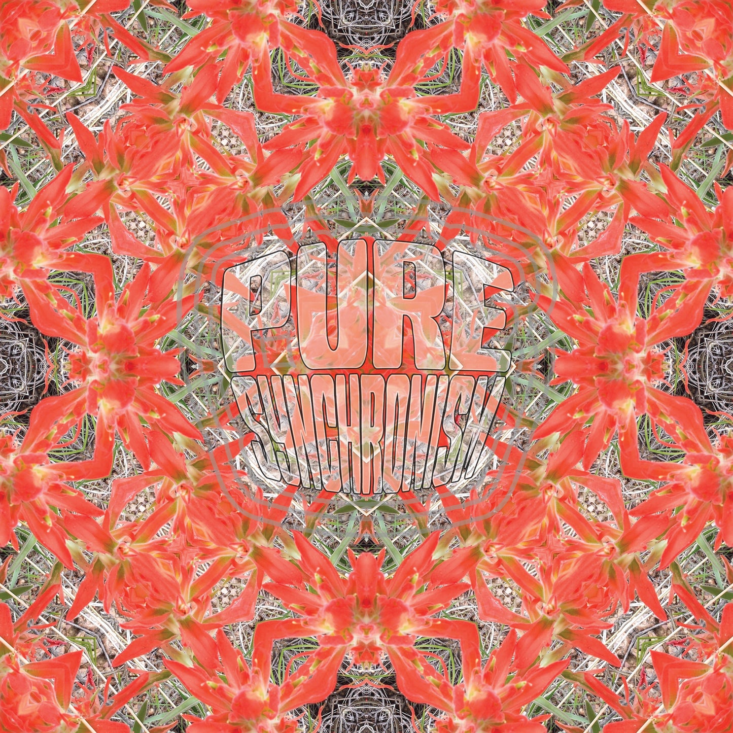 Indian Paintbrush v.2 — Cotton Hoodie