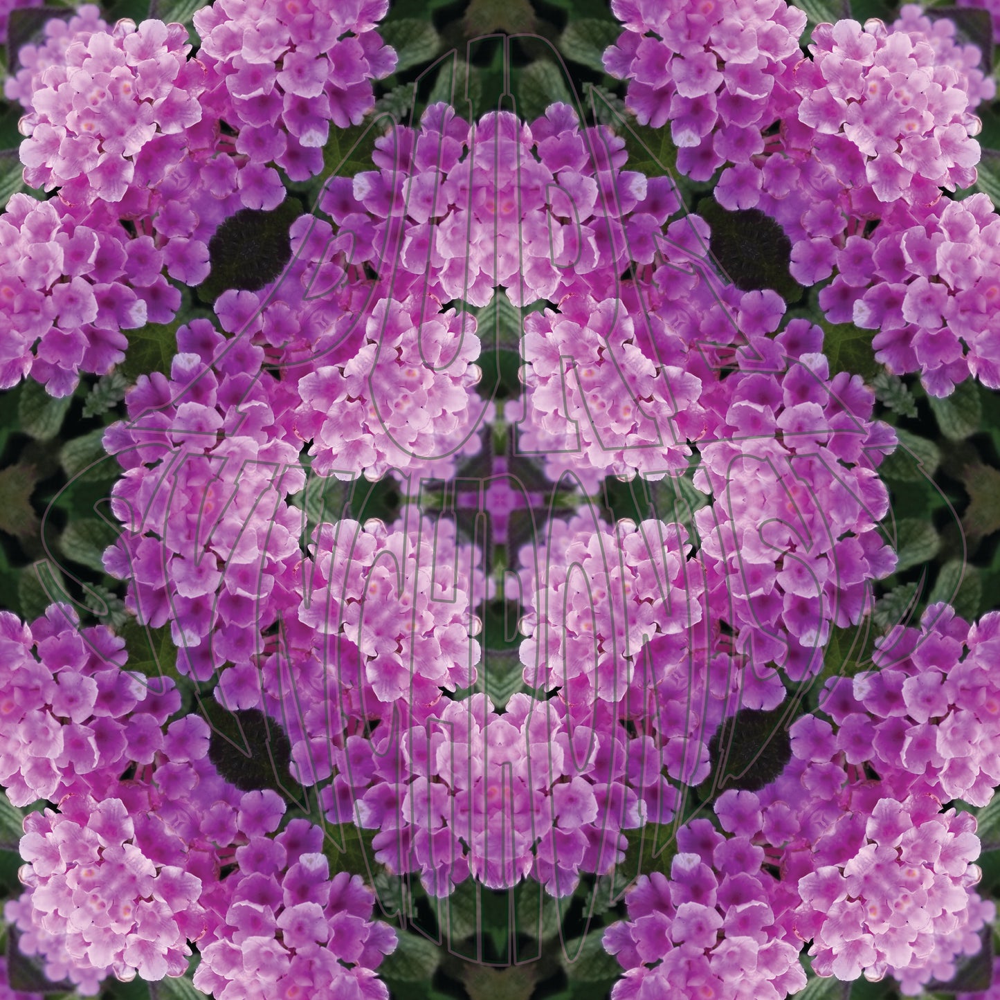 Purple & Pink Lantana Flower v.1 Cotton Hoodie