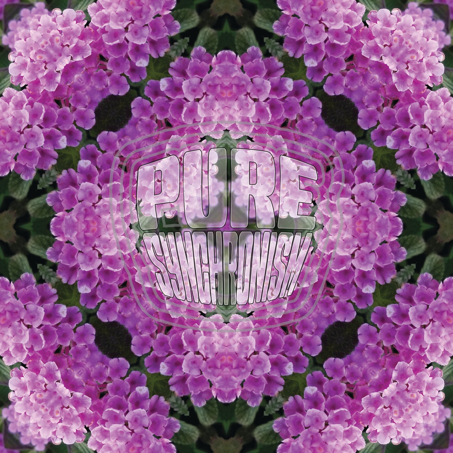 Purple & Pink Lantana Flower v.1 Cotton Hoodie