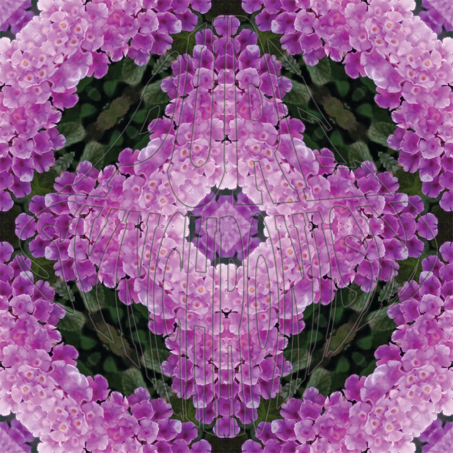 Purple & Pink Lantana Flower v.2 Cotton Hoodie