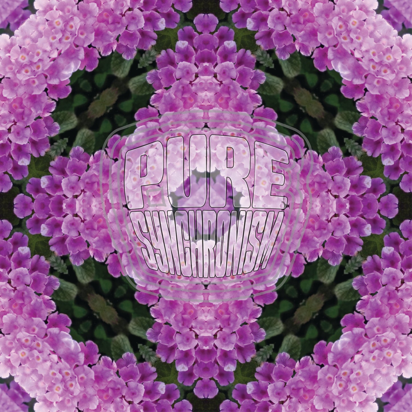 Purple & Pink Lantana Flower v.2 Cotton Hoodie