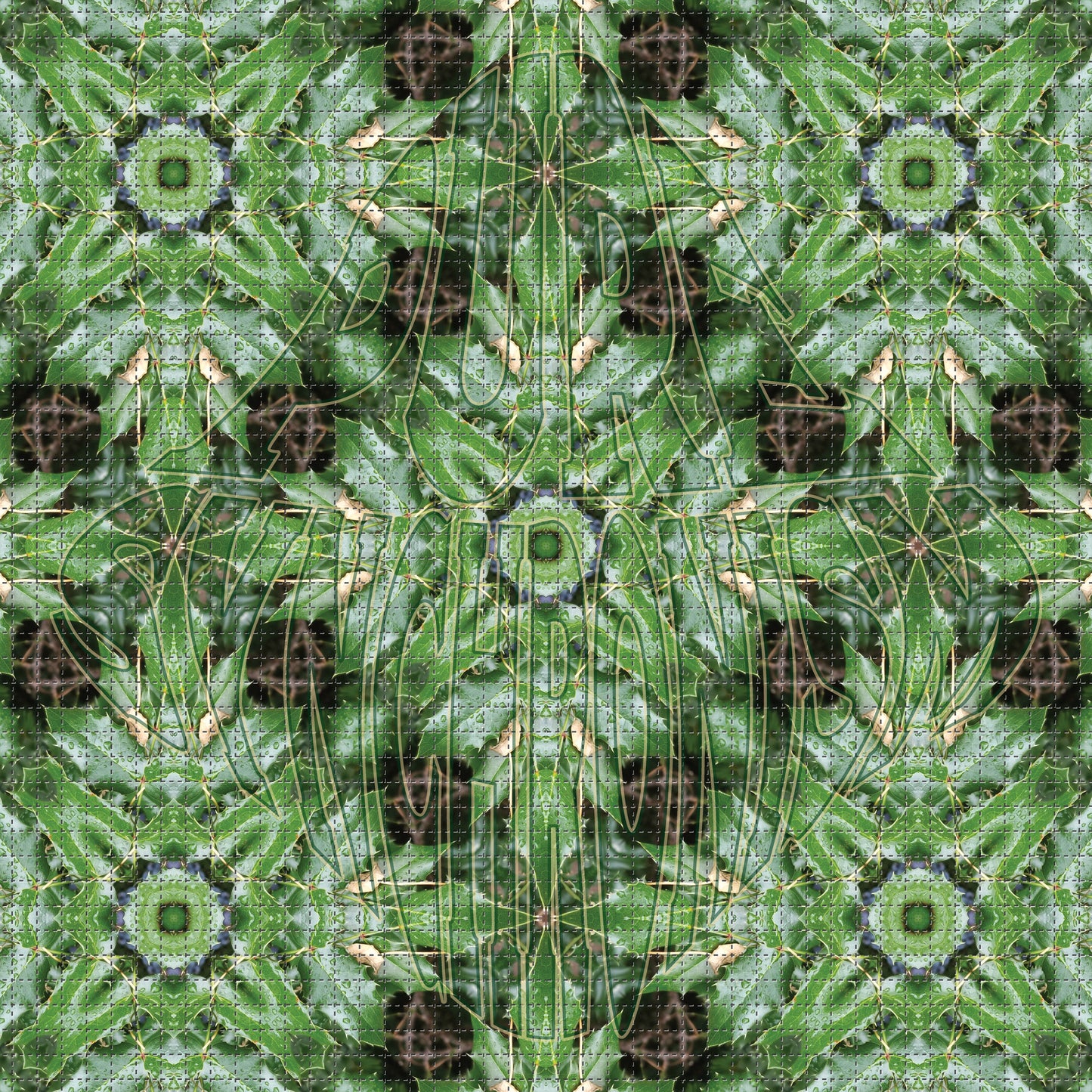 Oregon Grape Psychedelic Hoodie v.2 | Wearable Art