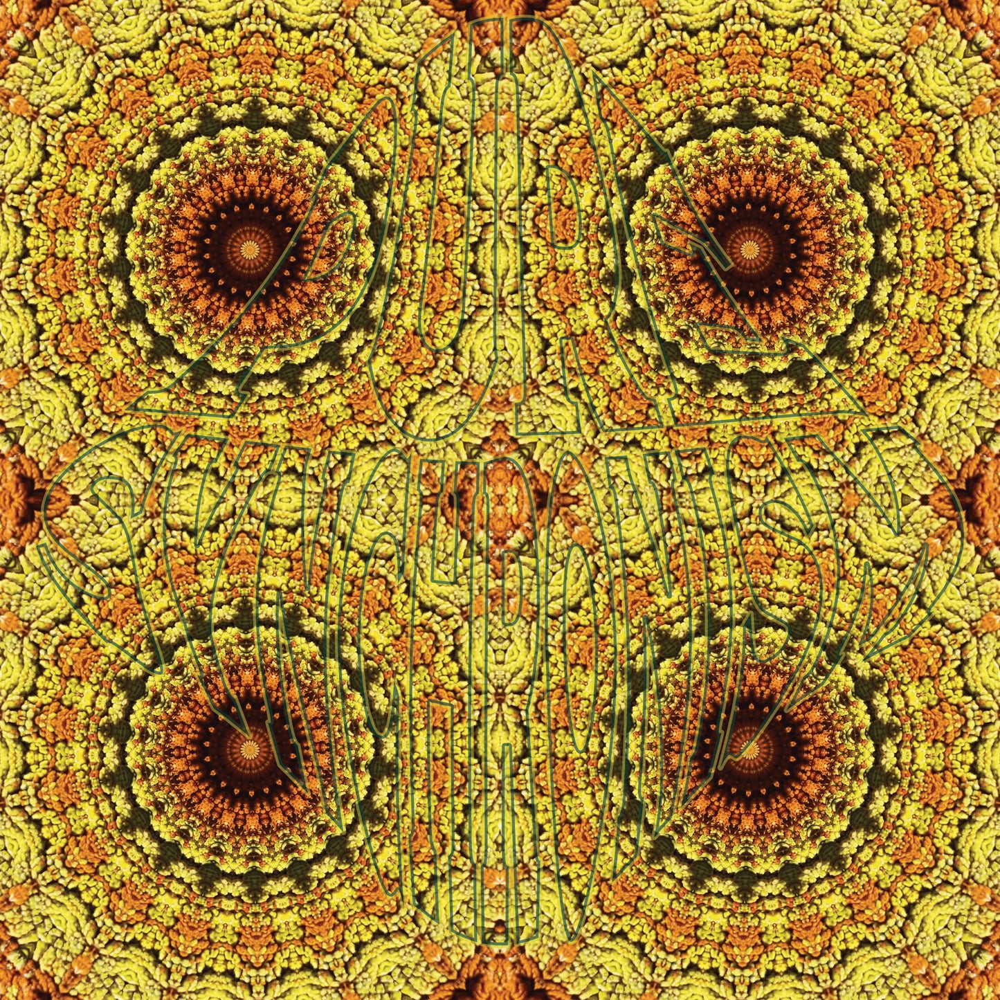 Lichen Orange Yellow Spiral v.1 — Cotton Hoodie