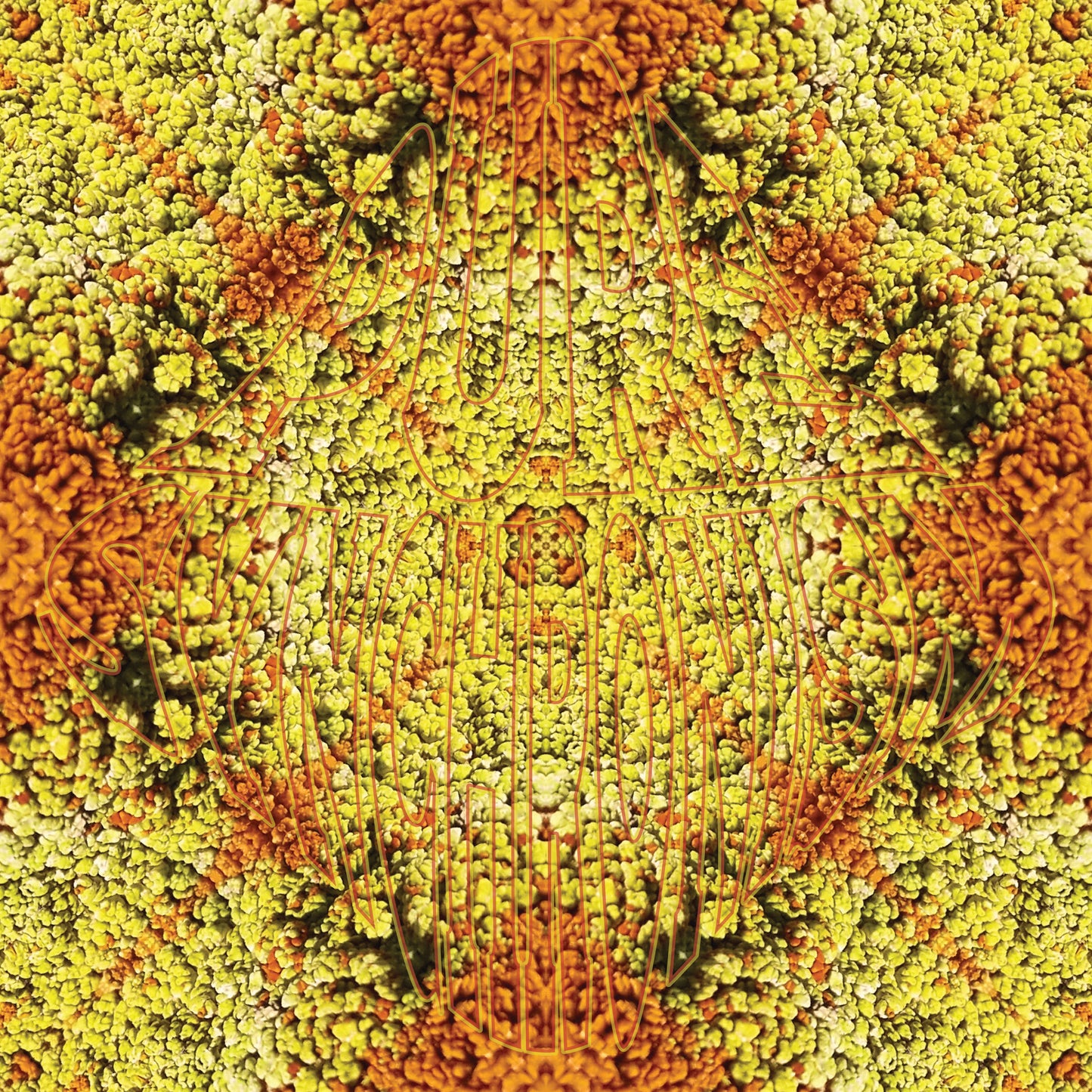 Lichen Orange Yellow v.1 — Cotton Hoodie