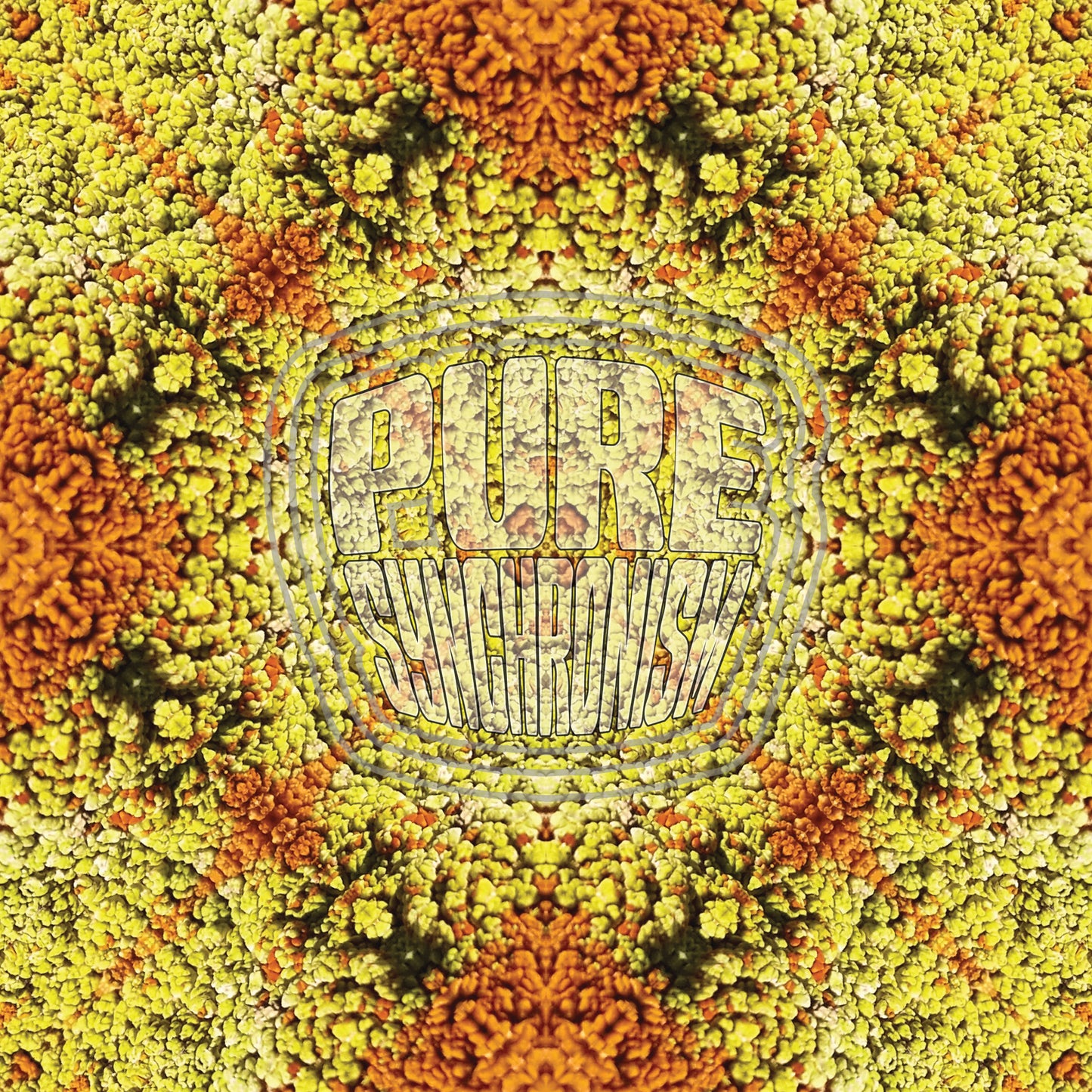 Lichen Orange Yellow v.1 — Cotton Hoodie