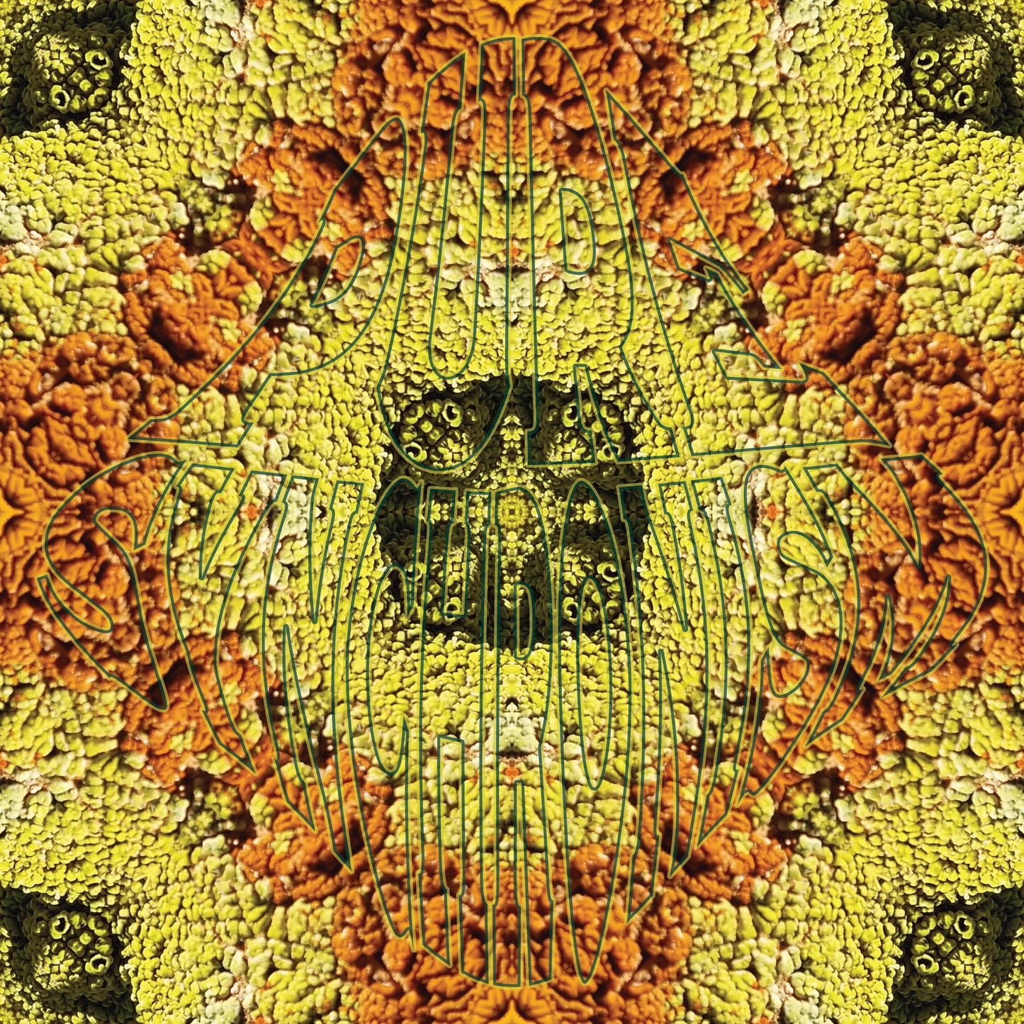 Lichen Orange Yellow v.2 — Cotton Hoodie