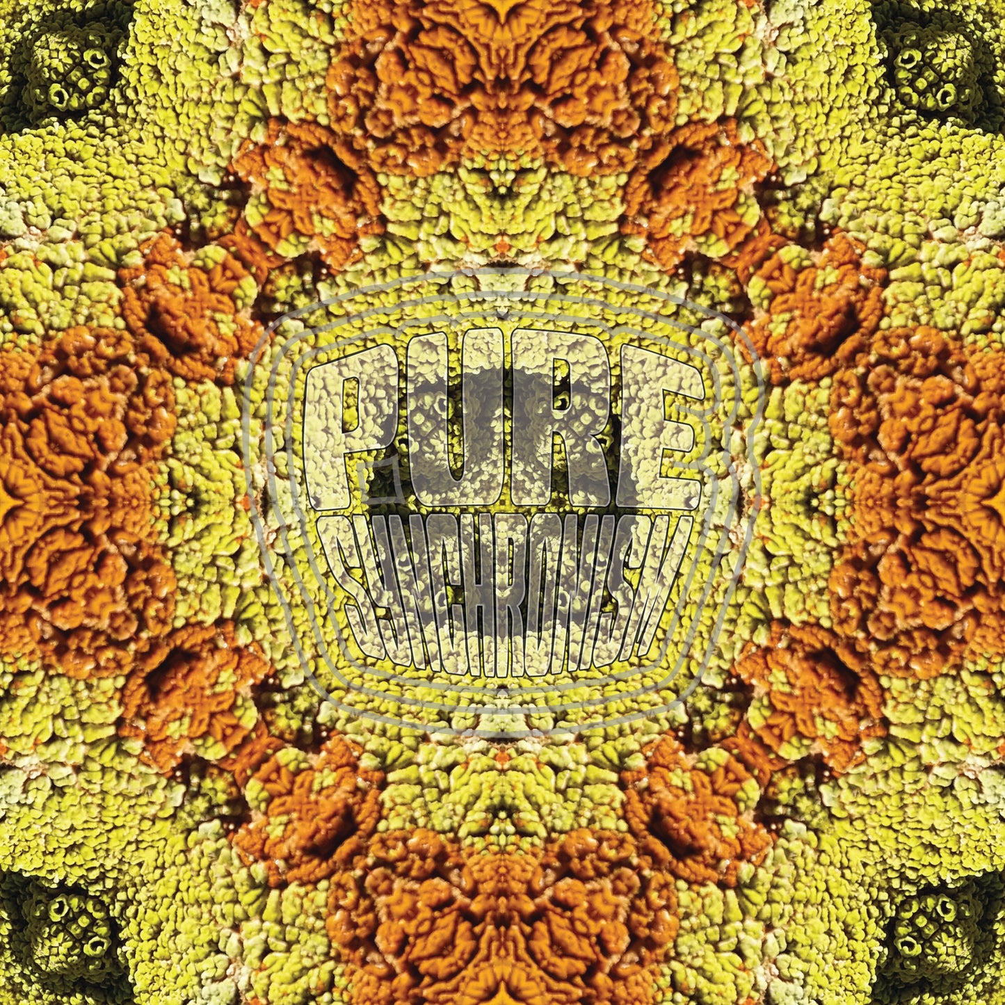 Lichen Orange Yellow v.2 — Cotton Hoodie