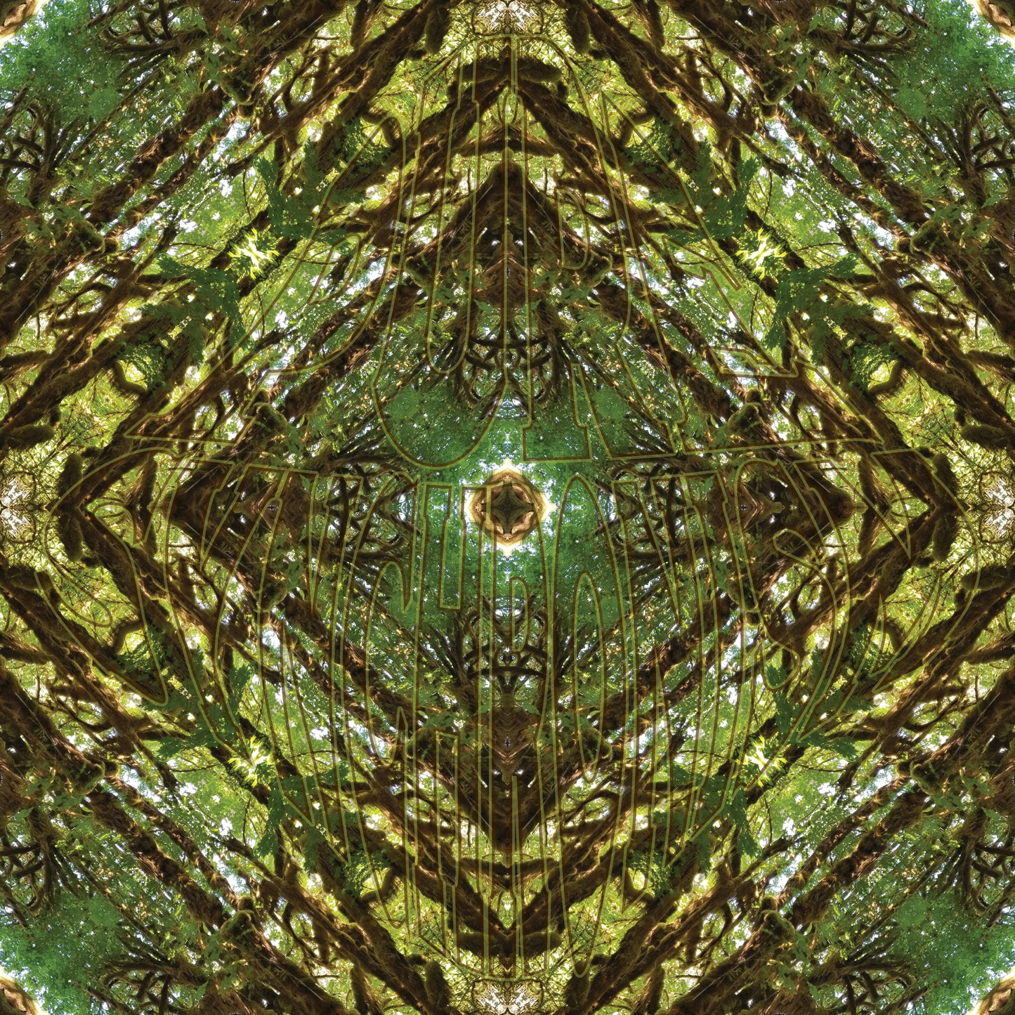 More Mossy Big Leaf Maple v.1 — Cotton Hoodie