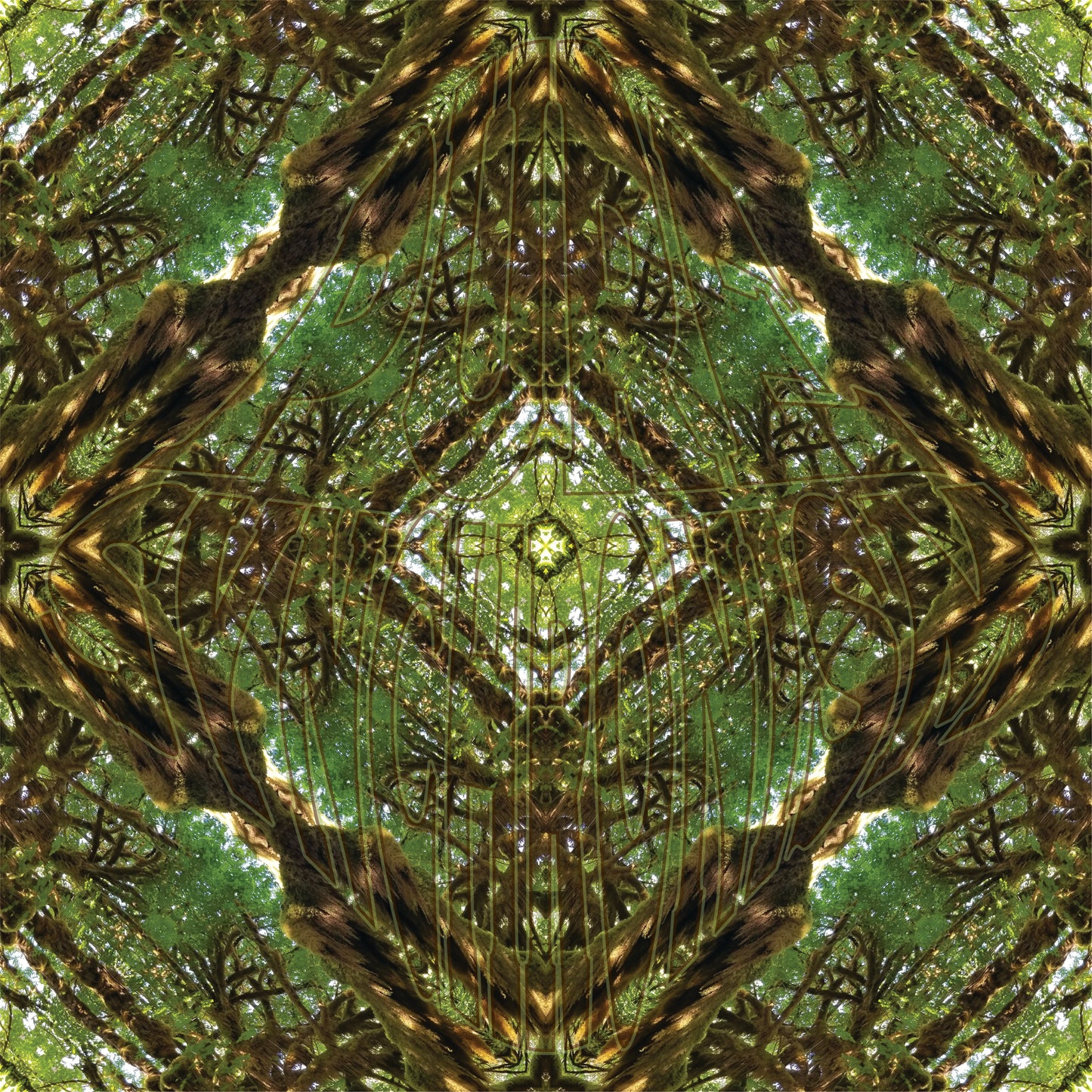 More Mossy Big Leaf Maple v.2 — Cotton Hoodie