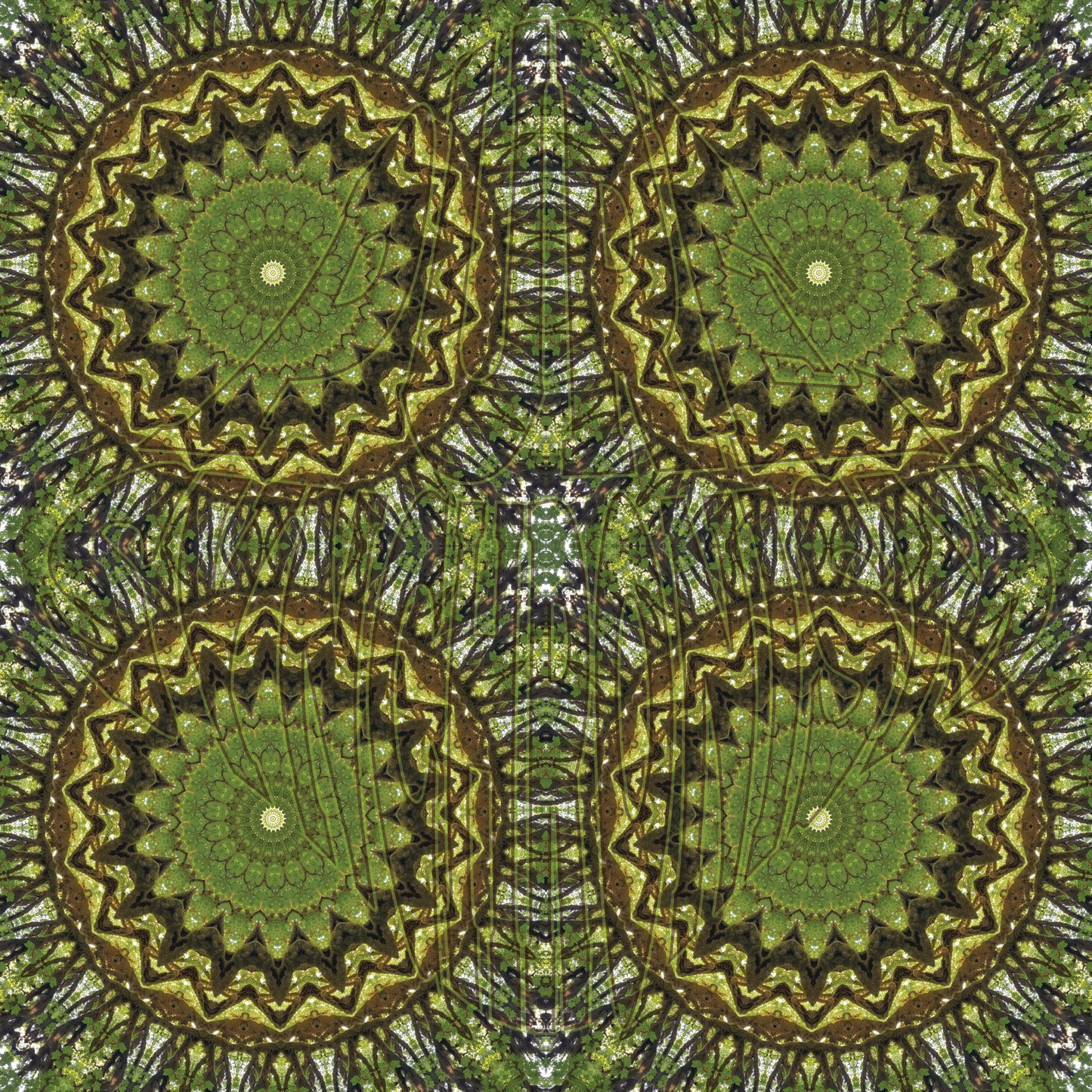 Mossy Big Leaf Maple Spiral v.1 — Cotton Hoodie