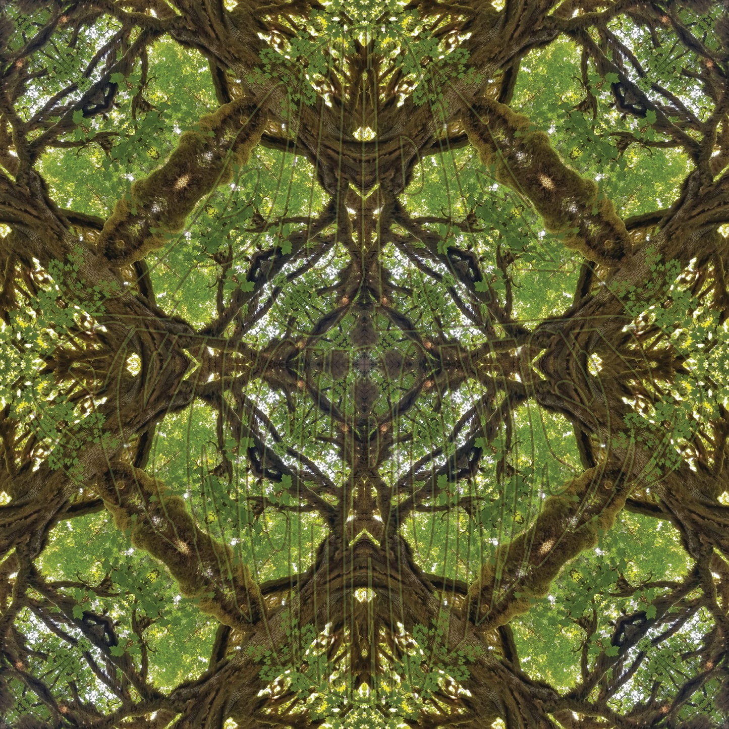 Mossy Big Leaf Maple v.1 — Cotton Hoodie