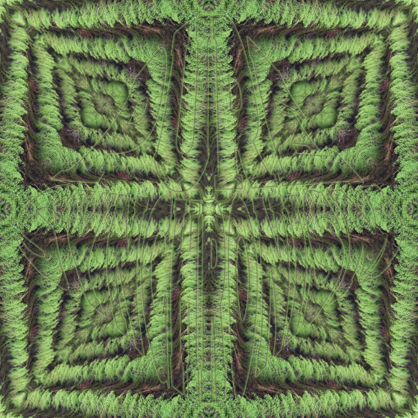 Mossy Wall v.1 — Cotton Hoodie