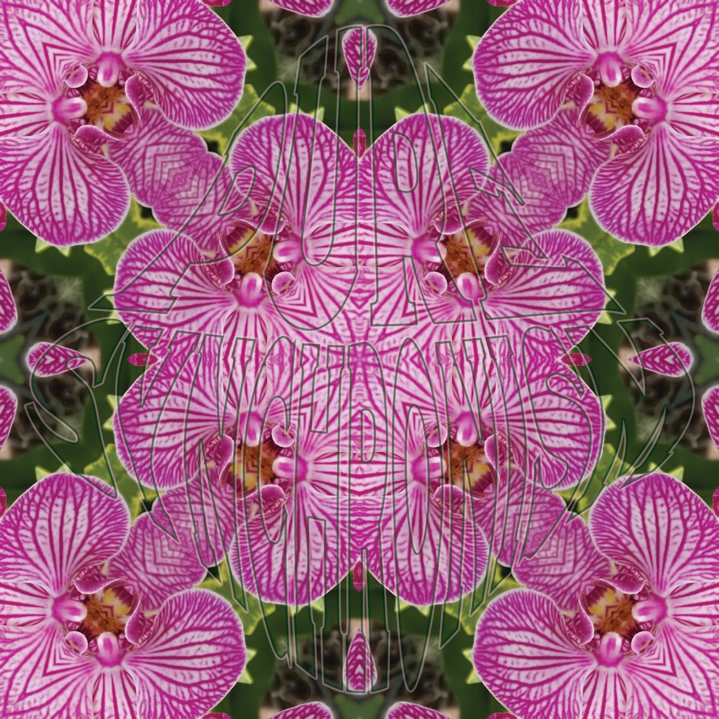Moth Orchid v.1 — Cotton Hoodie