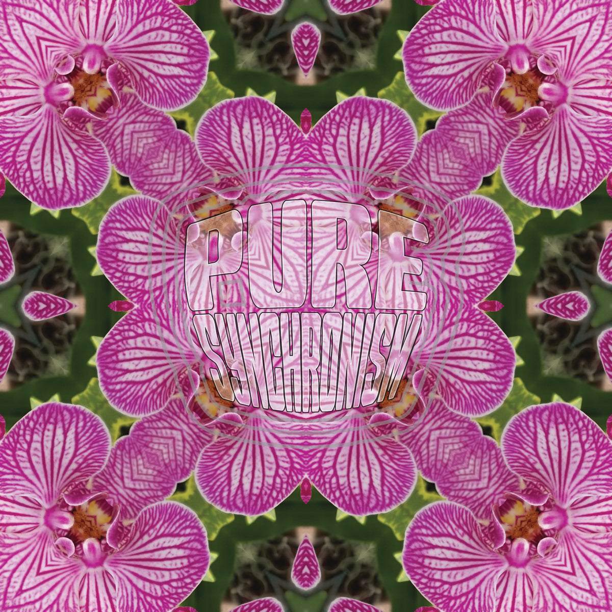 Moth Orchid v.1 — Cotton Hoodie