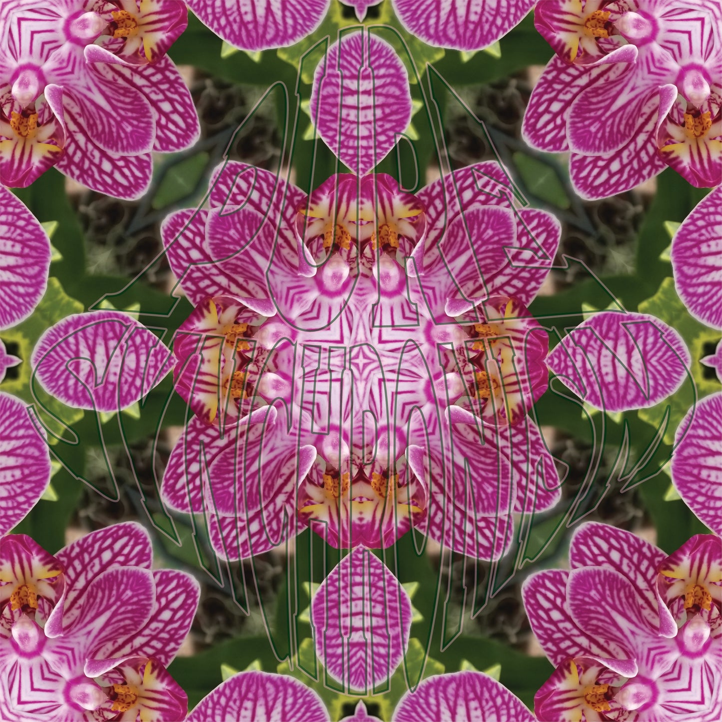Moth Orchid v.2 — Cotton Hoodie