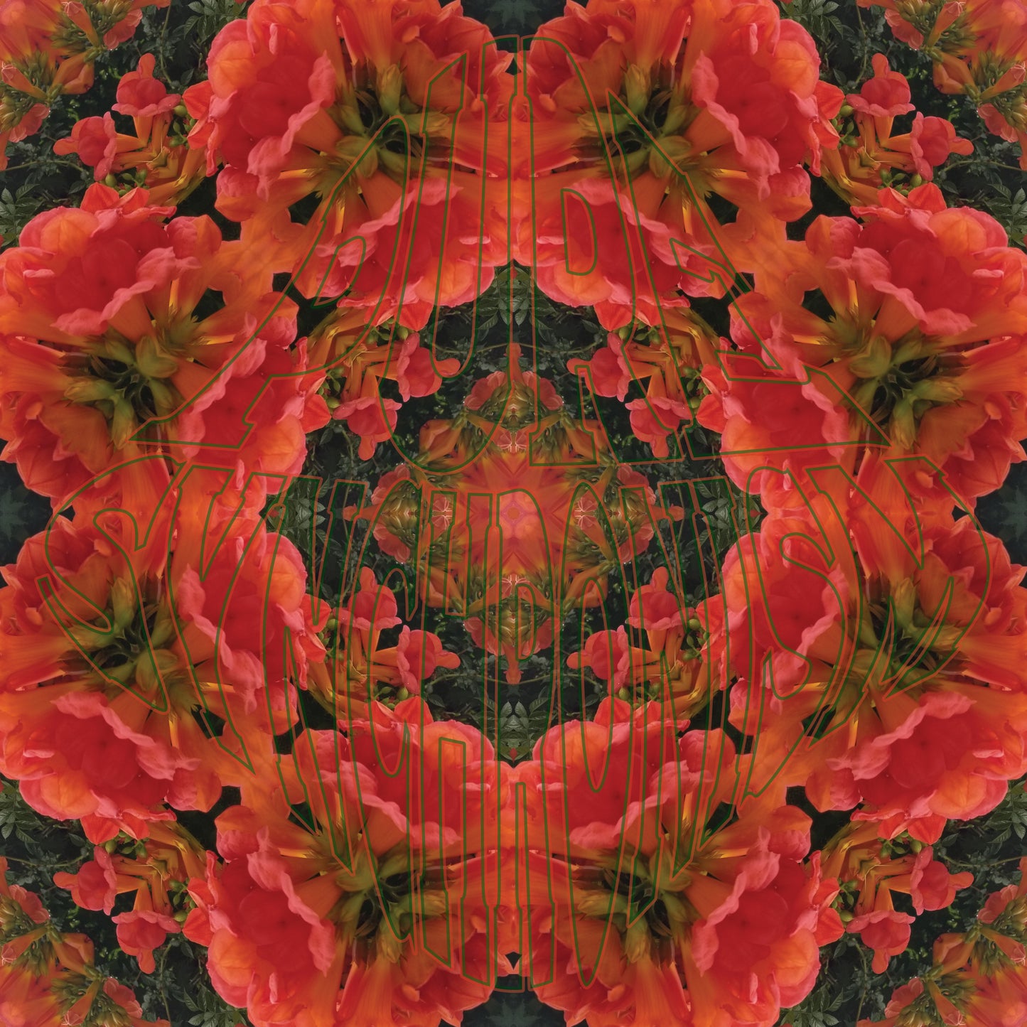 Orange Trumpet Flowers v.1 — Cotton Hoodie