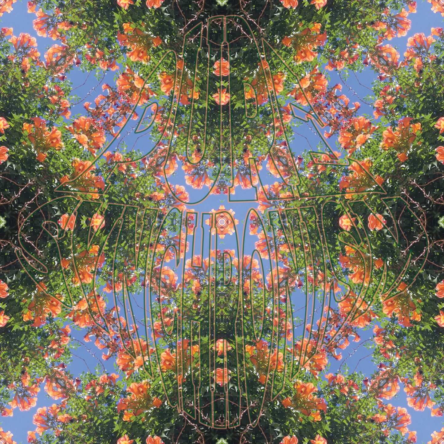 Orange Trumpet Flowers v.2 — Cotton Hoodie