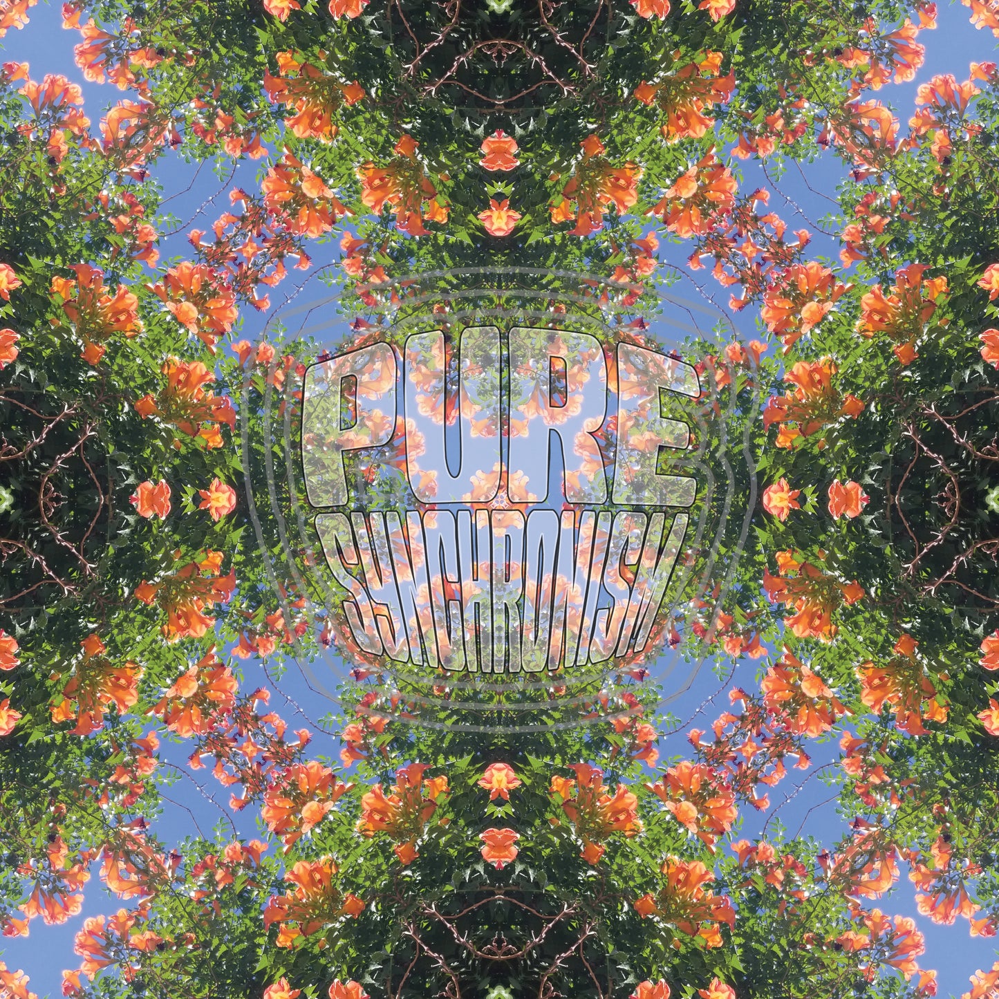 Orange Trumpet Flowers v.2 — Cotton Hoodie
