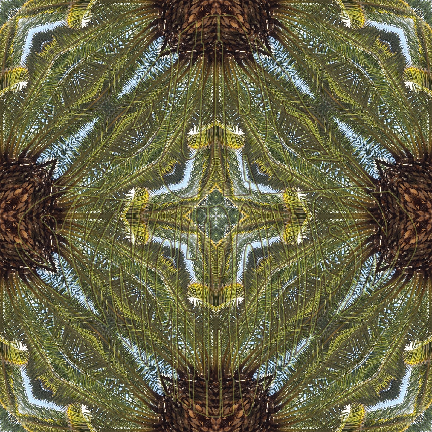 Palm Tree v.1 — Cotton Hoodie