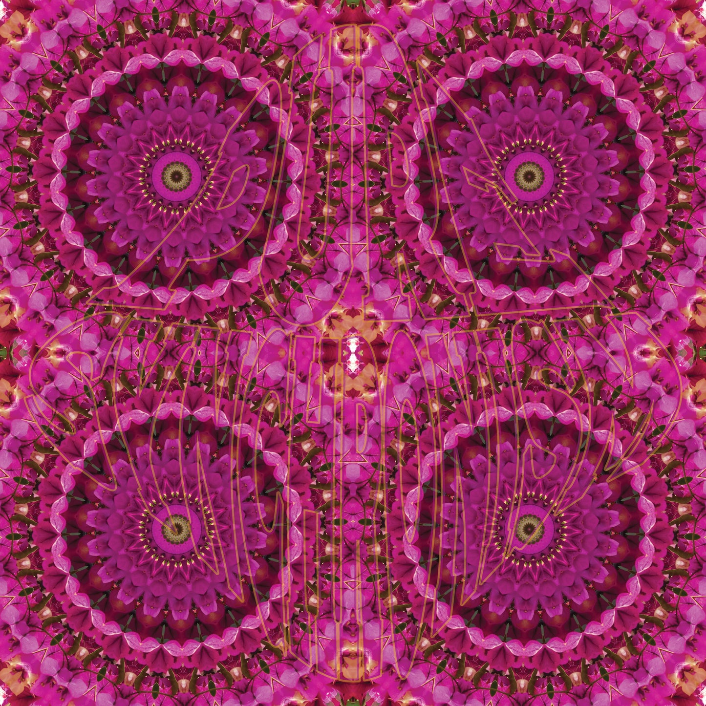 Pink Purple Tree Spiral v.3 – Cotton Hoodie