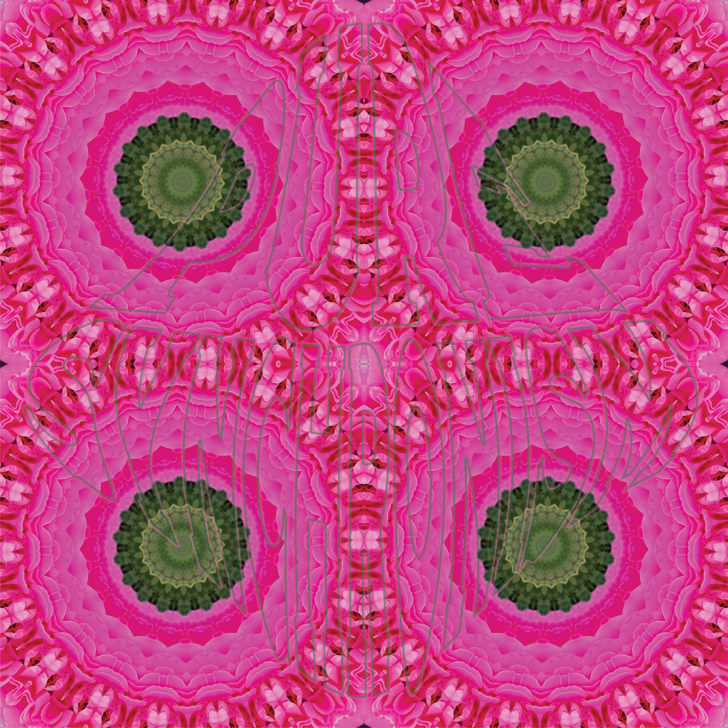 Pink Rose Spiral v.1 — Cotton Hoodie